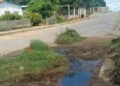 Vecinos desmalezaron área de cloaca colapsada en Santa Ana