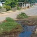 Vecinos desmalezaron área de cloaca colapsada en Santa Ana