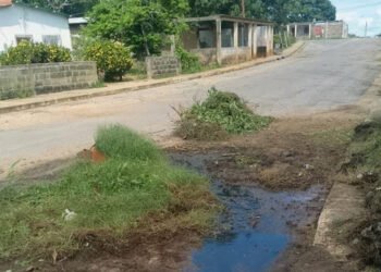 Vecinos desmalezaron área de cloaca colapsada en Santa Ana