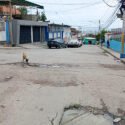 Voz Comunitaria | En El Amparo II demandan asfaltado de las calles y mejoras en servicios de agua y aseo