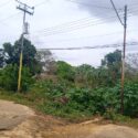 Voz Comunitaria | Vecinos de Macondo en Santa Ana temen caída de postes en terreno socavado