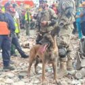 Falcón creará su primera brigada canina de rescate tras los daños por el doble sismo