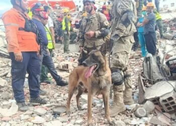 Falcón creará su primera brigada canina de rescate tras los daños por el doble sismo