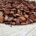 Entregaron Plan Estratégico Tecnológico del Cacao al Ministerio de Agricultura y Tierra en Sucre
