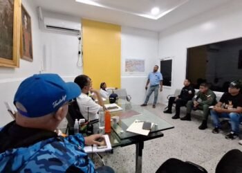 Conformaron en Arismendi el Estado Mayor Municipal de Electricidad