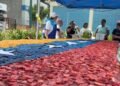 Los sismos del pasado 24 de junio impactaron la zona norte del país