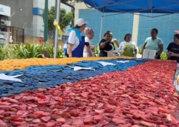 Los sismos del pasado 24 de junio impactaron la zona norte del país