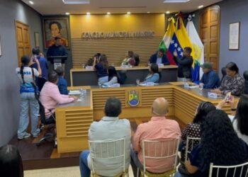 Propuesta antisísmica para Maneiro es presentada ante el concejo municipal