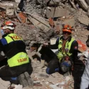Los españoles fallecidos en los terremotos de Venezuela suben a 32 y hay 142 desaparecidos