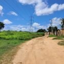 Voz Comunitaria |  Maleza descontrolada genera peligro en el sector Paraíso II de El Tigre (+Fotos)
