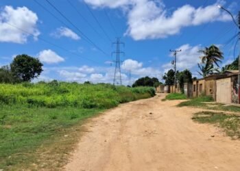 Voz Comunitaria |  Maleza descontrolada genera peligro en el sector Paraíso II de El Tigre (+Fotos)