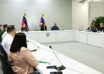 Delcy Rodríguez coordina con gobernadores acciones para reforzar el Sistema Eléctrico Nacional