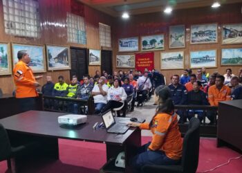 Los comités están en proceso de conformación
