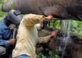 Repararon alimentador de agua en la avenida Universitaria de Carúpano