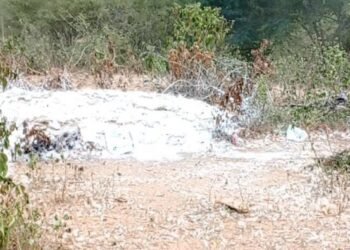 Contraloría sanitaria inspeccionó área donde fue lanzado lote de aves muertas