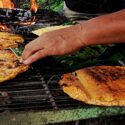 Sucre | Celebrarán la sexta edición de la Feria de la Cachapa en el municipio Andrés Mata