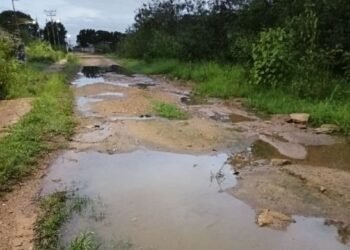 Denuncian que el sector17 de Diciembre de Anaco"parece un cochinero"