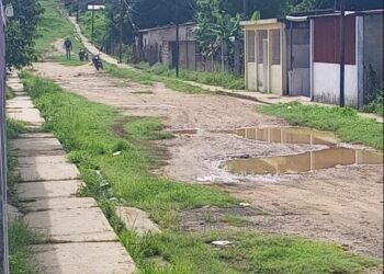 Restablecen servicio eléctrico en sectores afectados por caída de guayas en Aragua