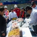 Nueva Esparta envía 406 toneladas de productos marinos a cinco mercados internacionales