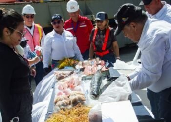 Nueva Esparta envía 406 toneladas de productos marinos a cinco mercados internacionales