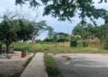 Denuncian abandono y exceso de maleza en parque de Santa Elena en Barquisimeto