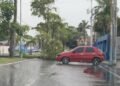 Árboles caídos y calles inundadas tras fuerte aguacero en Maturín (+Fotos)