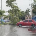 Árboles caídos y calles inundadas tras fuerte aguacero en Maturín (+Fotos)