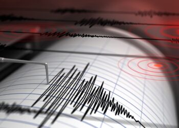 Funvisis reporta sismo de magnitud 4 en La Guaira sin daños registrados