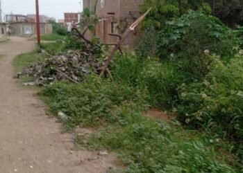 Denuncian desborde de aguas negras en la Vecindad del Chavo (+Fotos)