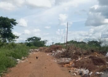 Denuncian colapso del vertedero de basura del municipio Santa Ana