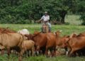 La propuesta gremial apunta a inyectar divisas directamente en el sector para reactivar el financiamiento agrícola