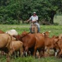 La propuesta gremial apunta a inyectar divisas directamente en el sector para reactivar el financiamiento agrícola