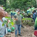 Las acciones fueron ejecutadas por brigadas ambientales de Macarapana