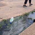 Alcalde de El Tigre atribuye colapso de cloacas en Inavi a un problema estructural