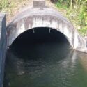 Gobernadora asegura que agua del Turimiquire abastece con fuerte presión a varios municipios de Nueva Esparta 