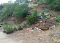 En El Frío exigen eliminación de vertedero de basura improvisado