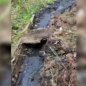 Reportan colapso de cloacas en el sector Valle Lindo I de Anaco