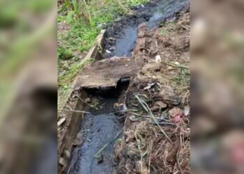 Reportan colapso de cloacas en el sector Valle Lindo I de Anaco
