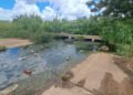 Voz Comunitaria | Aguas servidas ocasionan fuerte contaminación en Lomas del Palomar II de El Tigre