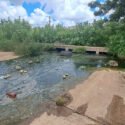 Voz Comunitaria | Aguas servidas ocasionan fuerte contaminación en Lomas del Palomar II de El Tigre