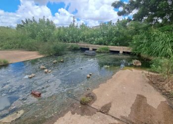 Voz Comunitaria | Aguas servidas ocasionan fuerte contaminación en Lomas del Palomar II de El Tigre