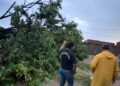 Aguacero del lunes dejó árboles caídos, afectación en viviendas y daños en tendido eléctrico