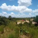 En Barbonero piden que se inspeccione área de extracción de granza