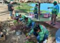 Realizaron jornadas de reforestación en El Copey y en la cuenca media de El Chuare