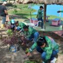 Realizaron jornadas de reforestación en El Copey y en la cuenca media de El Chuare