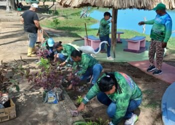 Realizaron jornadas de reforestación en El Copey y en la cuenca media de El Chuare