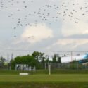 Un avión de carga de Amazon se estrella en el aeropuerto de Miami