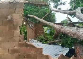 Piden ayuda para agricultor que quedó damnificado en Santa Ana