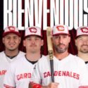 Cardenales de Lara oficializó la contratación de cuatro extranjeros