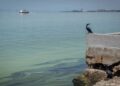 ONG denuncia incremento de derrames petroleros y fugas de gas en Lago de Maracaibo